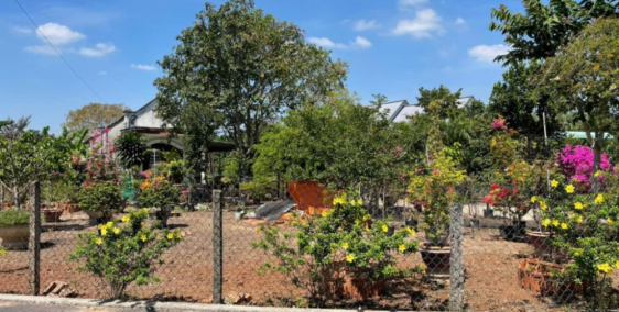 Cần tiền bán gấp vườn trái cây, Bình Phước, 2500m2, 400m2 thổ cư