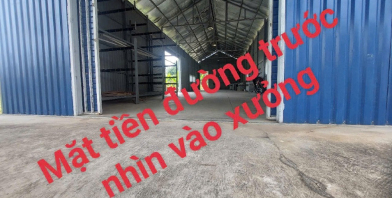 Bán nhà xưởng có sẵn 6*28m và đất trông cây xung quanh 430m2