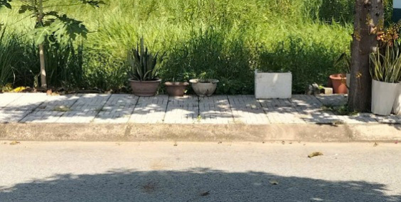 ĐẤT NGỘP RẺ MỸ HẠNH NAM LONG AN:4X20 (80M2) GIÁ 1 TỶ