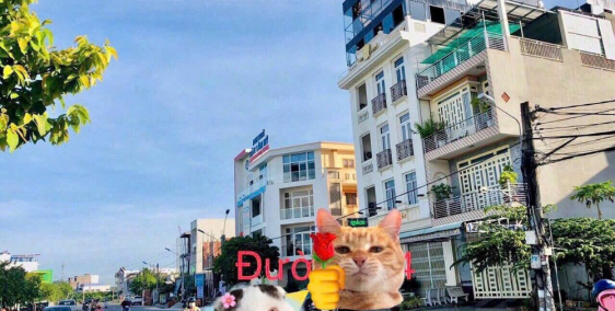 BÁN NỀN ĐƯỜNG TRẦN BẠCH ĐẰNG ĐỐI DIỆN TRƯỜNG ĐẠI HỌC Y DƯỢC CẦN THƠ