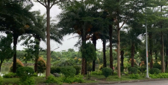 SIÊU PHẨM ĐẤT ĐẸP TRUNG TÂM TỪ SƠN – VIEW HỒ – SỔ ĐỎ TỪNG LÔ