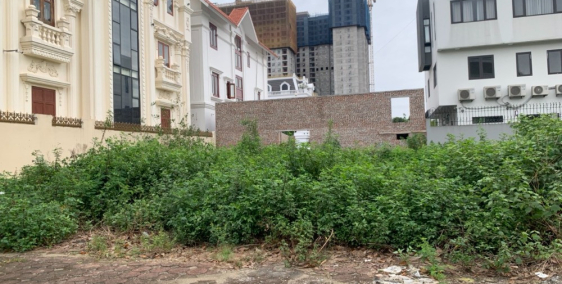 Chính chủ bán gấp 120m đất tái định cư khu 7,2ha Trâu Quỳ trước đường sau đường