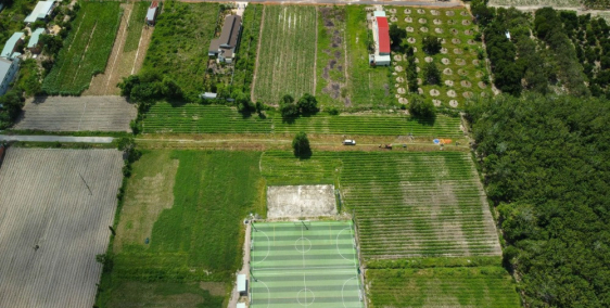 Bán gấp 15.000m2 đất ở thị trấn Tân Châu Tây Ninh