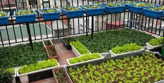 Bán Nhà 49m2 x 6 tầng tại Nguyễn Ngọc Nại, Khương Mai, Thanh Xuân, 11,8 tỷ siêu