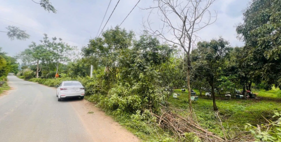 Bán đất nghỉ dưỡng phú nghĩa lạc thủy hòa bình dt 3.948m²