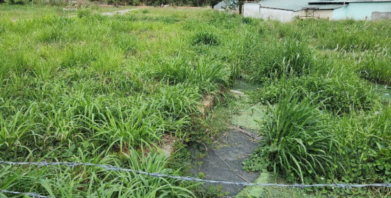 Cần bán đất mặt tiền DT47, Dương Tơ, PQ, sổ riêng, giá 30tr/m²