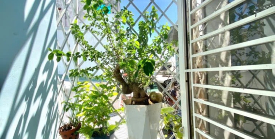 Nhà gấp bán hẻm đường Trịnh Như Khuê-Huyện Bình Chánh-HCM