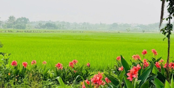 Chính chủ bán lô đất 750m2  mặt đường liên xã tại Lương Sơn Hoà Bình.