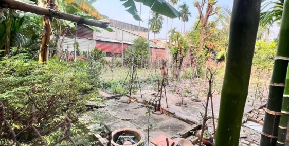 Đất giá rẻ. SHR. Thạnh Lộc 13. Thạnh Lộc 12. DT: 7 x 28m. Giá: 5.6 tỷ