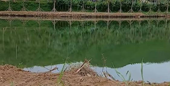 chào bán lô đất viêu sông cu đê siêu đẹp dt 2600