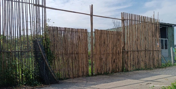 Đất Bình Mỹ xe hơi thông, 10x12,5m dựng nhà ở liền. 590tr