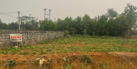 Đất Nền Sổ Hồng Thôn 6 Xuân Sinh(cũ)- Thọ Xuân, Mặt Tiền Đường Mới, Gần Sân Bay!