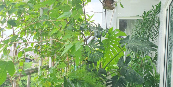 Bán chung cư tại trung tâm Quận 2  chính chủ giá tốt