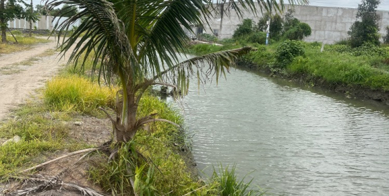 Chính chủ gửi bán lô đất ở ngay trung tâm thị trấn Đức Hoà 125m2 giá 1ty2