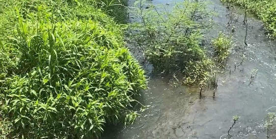 Bán lô đất suối mặt tiền đường nhựa hiện hữu gần biển hồ cốc