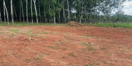 Đất mặt tiền đường Long Hà - Bình Phước