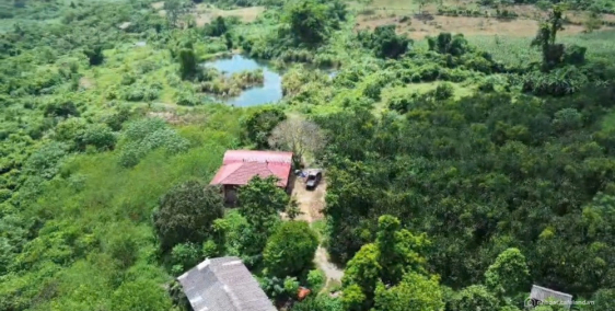 BÁN 12HA ĐẤT THỔ CƯ , CÂY LÂU NĂM , RSX . BẮC TÚ SƠN , KIM BÔI ,PHÚ THỌ .