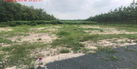 Đất thổ cư chính chủ f0 chưa qua đầu tư