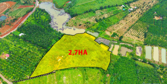 Rẫy giá rẻ, view hồ đẹp, bằng như sân bóng tại phường Bắc Gia Nghĩa