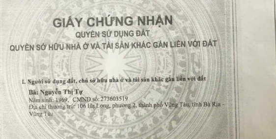 Đất mặt tiền Tôn Thất Tùng - phía sau siêu thị GO Phú Mỹ