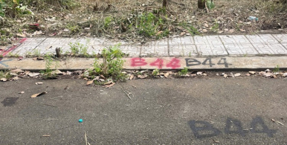 Bán đất giá rẻ, Hàng nhỏ, dễ mua, dễ bán. 50,3m Long Phước, Q9. 1950tr