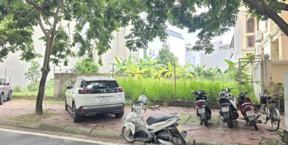 Bán lô đất biệt thự mặt đường đôi Mai Hắc Đế, KĐT Tuệ Tĩnh, Tây HP, 195m2, mt 12