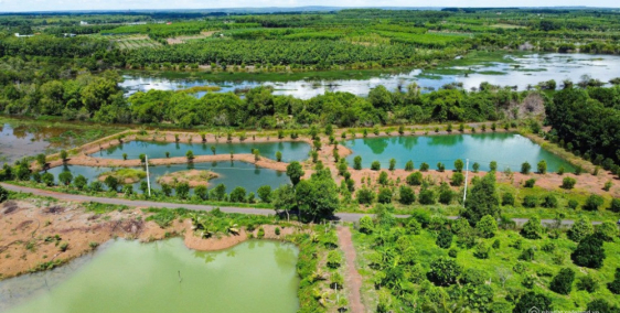 Đất bán có diện tích 200m2 tại Xã Tân Tiến, Đồng Nai.