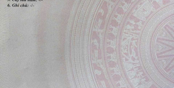 Bán đất trồng cây 3 măt tiên ở Diên Lâm- Diên Khánh