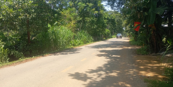 CHÍNH CHỦ CẦN BÁN GẤP LÔ ĐẤT ĐƯỜNG MT LIÊN HUYỆN 518, CẨM CHÂU, CẨM THỦY, THANH