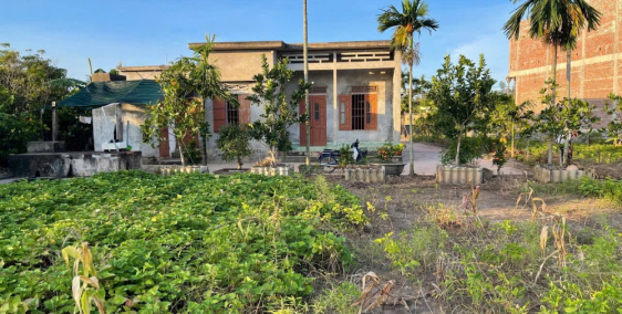 Bán hoặc Cho Thuê đất Nam Thịnh Tiền Hải Thái Bình (Hưng Yên Mới)