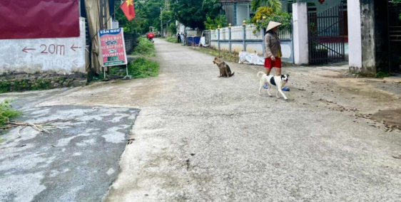 ĐẤT ĐẸP GIÁ RẺ, VỊ TRÍ ĐẮC ĐỊA TẠI LIÊN SƠN ,LƯƠNG SƠN ,HÒA BÌNH