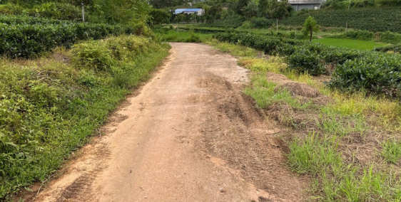 ĐẤT G*IÁ R*Ẻ 23/09 LH ZA:LO 0335.923.629 (SINH ĐÔI LAND)