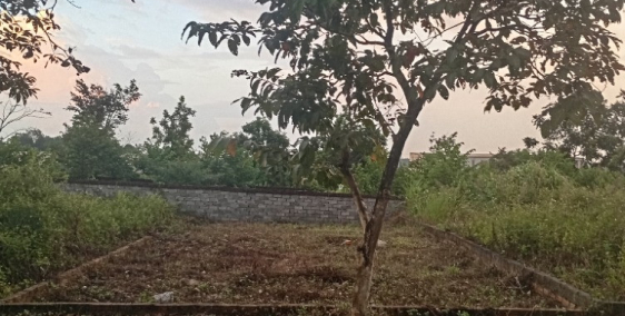  BÁN LÔ ĐẤT TÁI ĐỊNH CƯ VAI RÉO – VỊ TRÍ ĐẸP, GIÁ TỐT