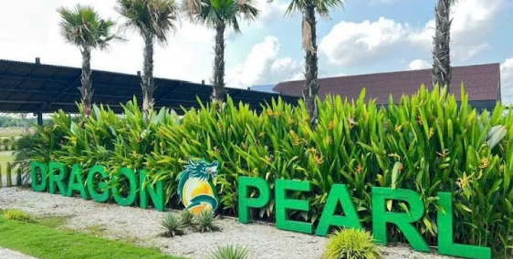 Đất nền 90m² KDC Dragon Pearl – Sổ hồng riêng – Vay đến 95% - Tích Sản & Đầu Tư