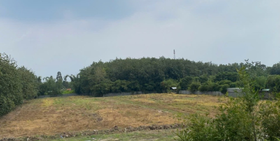 Nhà xưởng MT TL7 20.000m2 - 800 thổ - 80ti