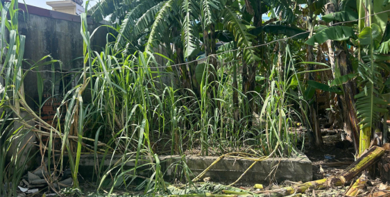 SIÊU PHẨM CẠNH CẦU VƯỢT HẢI THÀNH – GIÁ HIẾM DƯỚI 3 TỶ  ZALO 0567 222 555