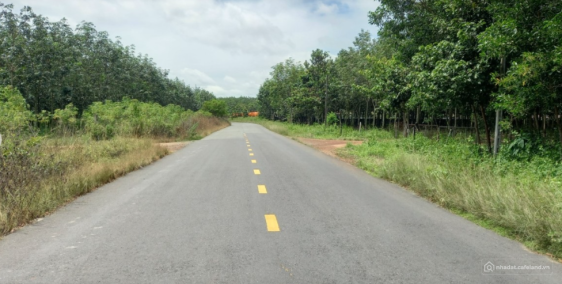 Sang nhanh lô mặt tiền DH519 414m2 giá rẻ, công chứng ngay