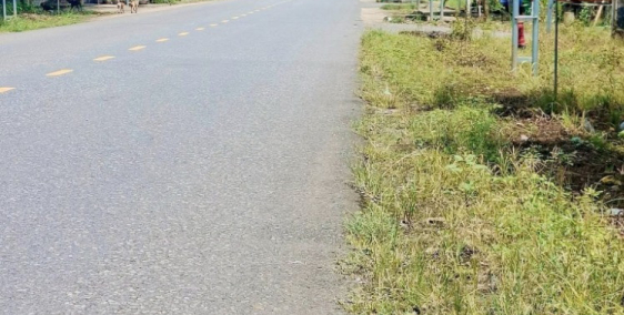 Chính chủ cần sang lại lô đất MT DH519 32m SHR 350tr