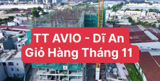 TT AVIO giỏ hàng tháng 11, 2 tỷ 050, 2Pn, 56m2