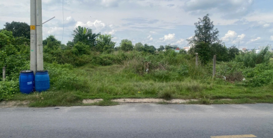 chính chủ bán đất đường nhựa thông chợ việt kiều củ chi đường tỉnh lộ 8 sổ hồng