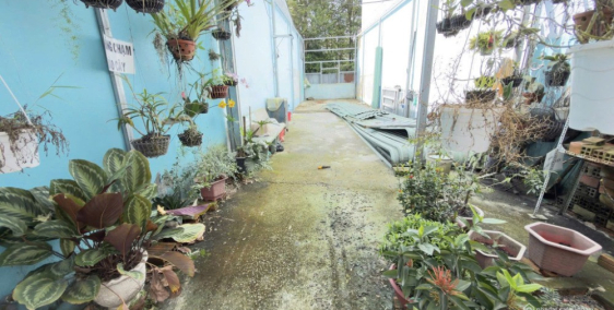 Đất thổ cư mặt tiền Tân Xuân 7, SHR, 4m x 20m, 4.2 tỷ