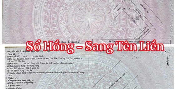 BÁN CẶP NỀN GÓC ĐƯỜNG PHAN TRỌNG TUỆ - KHU DÂN CƯ DIỆU HIỀN - P. HƯNG PHÚ - TP.