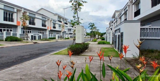 Môi trường sống thượng lưu 6x20, đậm chất sống sinh thái