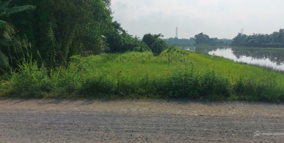 Bán 1000m2 đất cây lâu năm, Tỉnh lộ 8 vô 200m, đường xe hơi 2ty7 (PhướcVĩnhAn)