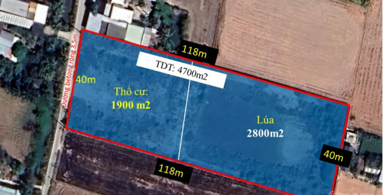 Bán đất thổ lúa đường xe hơi tại Xã Long An, Cần Giuộc, Long An