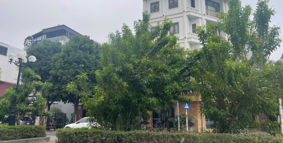 Bán 100m đất đấu giá TT5A Giang Biên chân toàn chung cư Ruby kinh doanh đa dạng