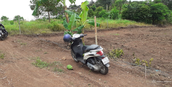 Kẹt tiền: Cần bán sào Đất giá rẻ tại Đông Hòa ,Trảng Bom, Đồng Nai