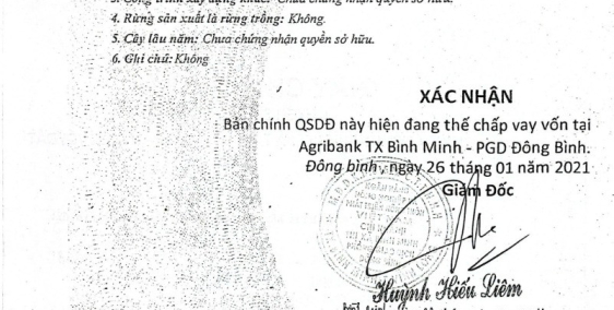 Cần bán đất trồng lúa 2000m2 tại Phù Ly 1, Bình Minh, Vĩnh Long