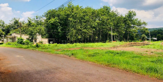 TRẢ NỢ BÁN 1010M2 ĐẤT THỔ CƯ NGAY QL 14 GẦN KCN LỚN, CÓ CHỢ, TR.HỌC. GIÁ 170TR