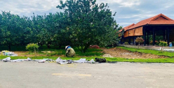  CHỦ NGỘP BÁN GẤP – ĐẤT THỔ CƯ VƯỜN BƯỞI TP HỒ CHÍ MINH, 250m2 CHỈ TỪ 250TR